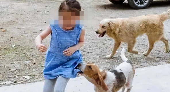 恶犬袭击孩童被当场打死，狗主人竟要孩子偿命，孩子父亲绝地反击