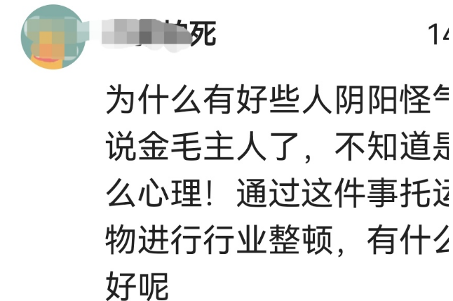金毛siri事件大结局，主人“无奈把钱收”，网友评论两极分化