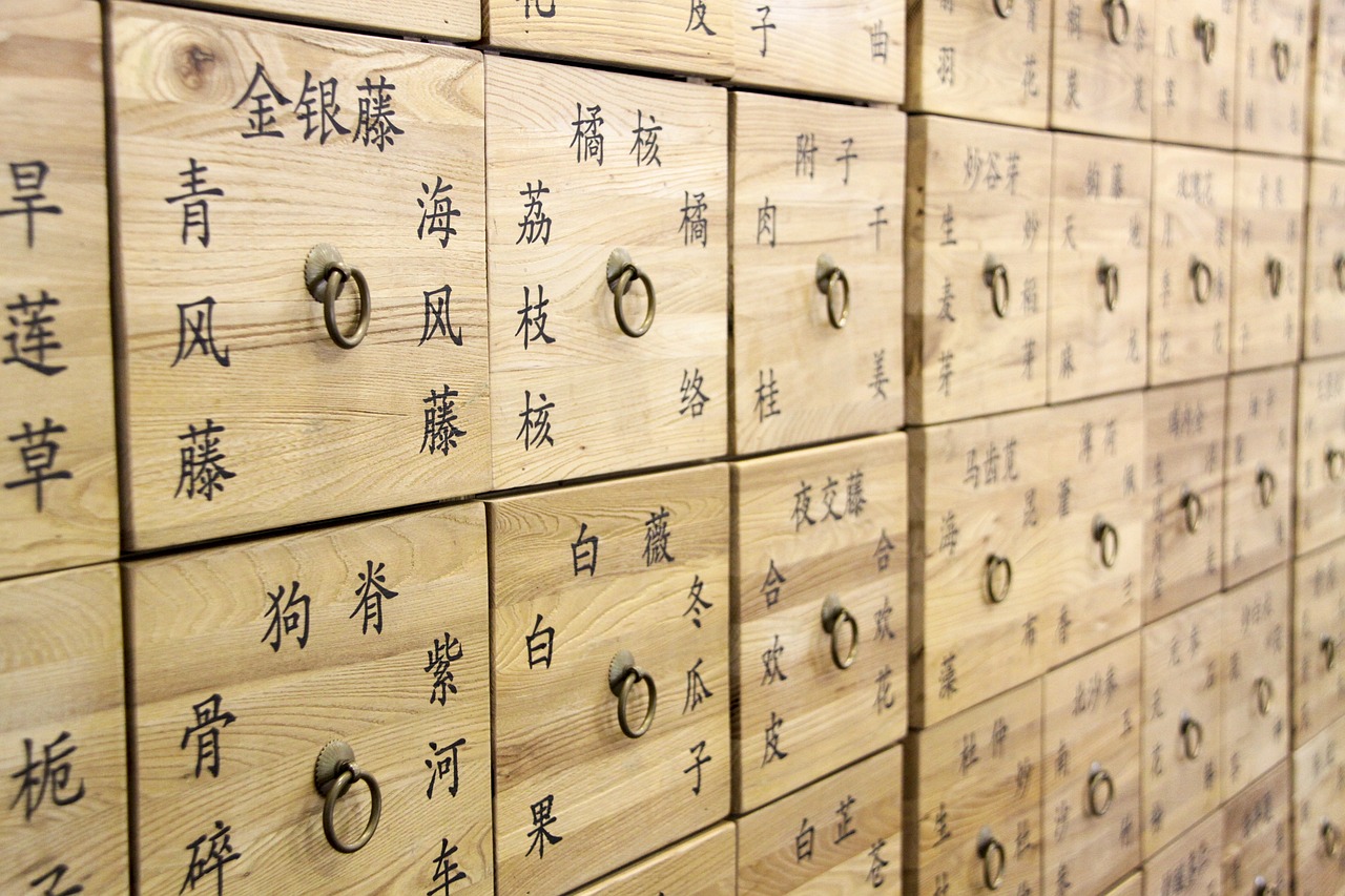 揭示中医奥秘，走近中医师的英译世界 - 传承与现代并行