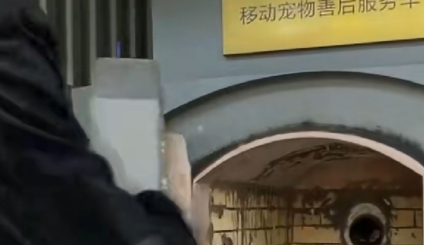 狗狗过世送去火化，店家：炉子坏了，烧了一半，主人听后情绪崩溃