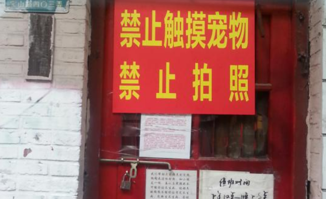 上海一“宠物救助中心”被指贩狗虐狗，屡遭举报还打伤执法者