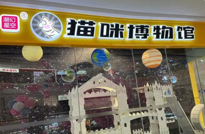 萌宠经济正当红 实地探访城阳“猫世界”体验治愈时光