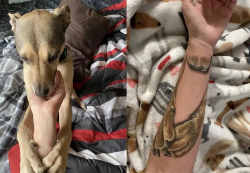为纪念离世爱犬，妹子把它拥抱自己的样子，纹在了手臂上