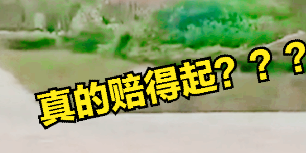 狗比人值钱！女子竟当着民警的面，威胁家长：报复小孩再赔几千万