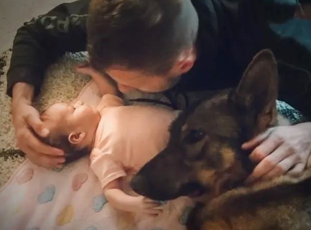 警犬上班对训导员冷若冰霜，下班却把他的娃宠上天…“是谁酸了我不说！”