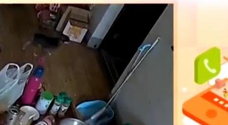 送货被客户的宠物狗咬伤拒绝，对小哥的索赔也被拒绝，听了顾客的