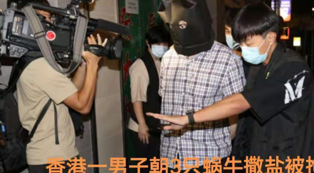 女子买了猫不想养，退猫不成现场把它摔死，听听律师怎么说
