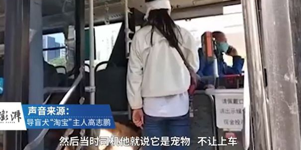 导盲犬被骂哭，但是你知道吗……