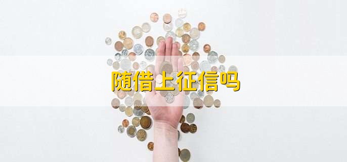 随借上征信吗，可能会