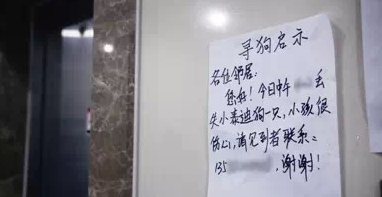 杭州一快递箱内惊现一只死泰迪狗！背后的故事值得深思