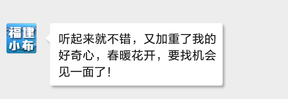 海味与果味，你更爱哪一味？