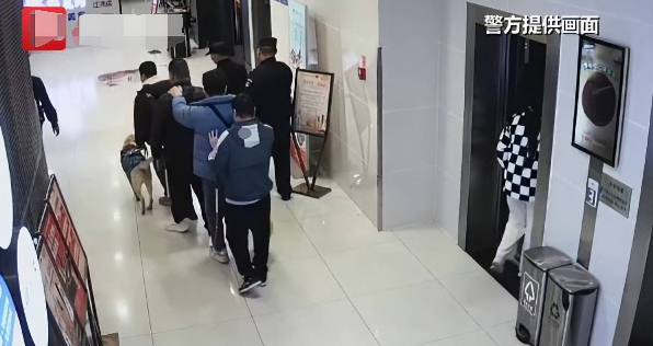 导盲犬带主人吃火锅迷路但结局很暖心，导盲犬为何会迷路？