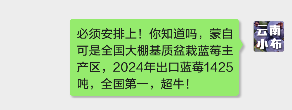 海味与果味，你更爱哪一味？