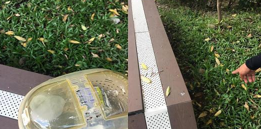 虎斑猫被装进外出笼丢草堆曝晒，当时户外温度竟高达37度！