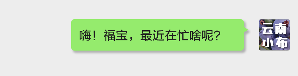 海味与果味，你更爱哪一味？