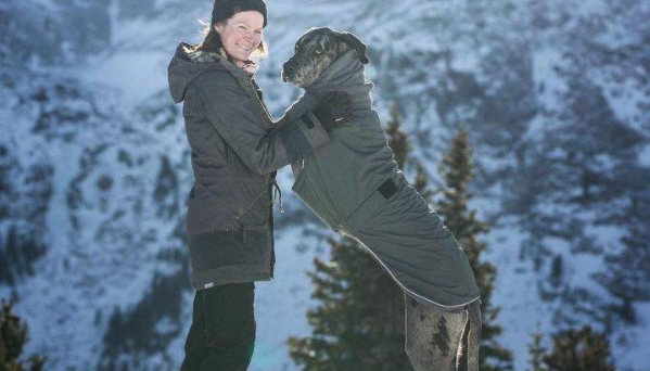 巨型犬在外勇猛威武，一剪指甲立刻怂了：主人你爱我吗？ 