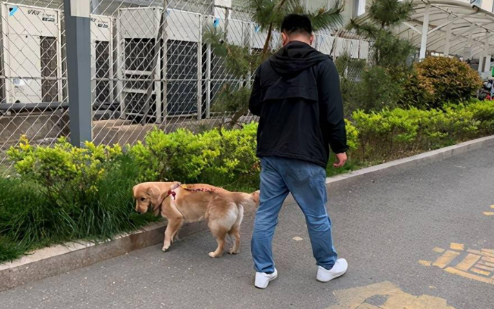 辽宁：男子提醒夫妇遛狗要拴绳，遭两人追打，女子：你打完我讹你 