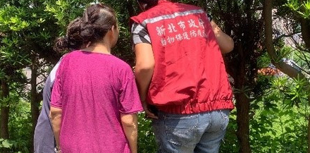 黑狗散步凭空消失，在3米山坡上找到，瘫倒在洞坑里吓得双眼无神
