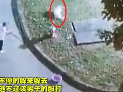 残忍！宠物狗被主人活活打死！气愤：见人就咬，连我都不放过