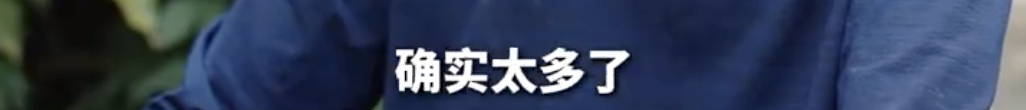 人民日报关注福州“锅盔叔叔”