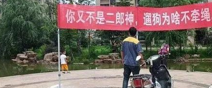 小区一夜被毒死4只狗，悬赏万元缉凶，养狗人士，请牵好你的绳子