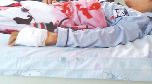 长春13岁男孩攒钱网购异宠被咬进ICU，宠物蛇竟是竹叶青