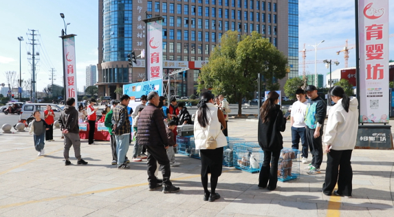 领养代替购买！爱心活动让流浪猫狗有了新家