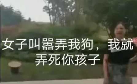 愤怒！安徽一女子当警方面叫嚣：狗命比人贵，敢动我狗弄死你孩子 