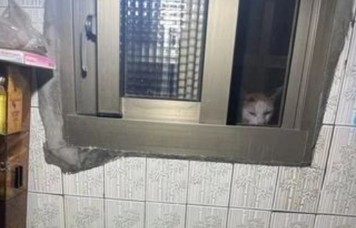 厕所窗边惊现“小白脸”盯着自己，吓一大跳后却做出这个暖心举动...