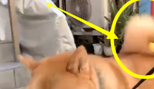 宠主发现柴犬新作用，出门还能带零食，网友：天生我“柴”必有用