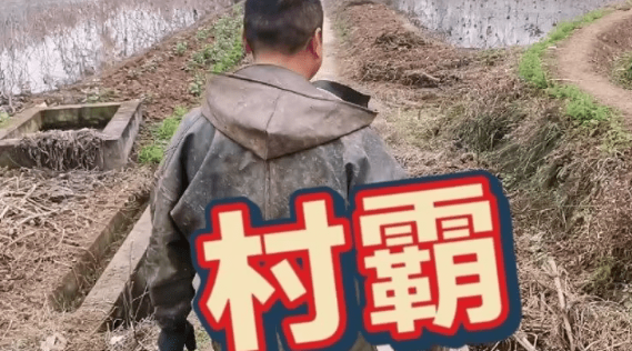 恶犬袭击孩童被当场打死，狗主人竟要孩子偿命，孩子父亲绝地反击