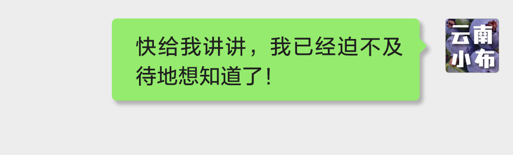 海味与果味，你更爱哪一味？