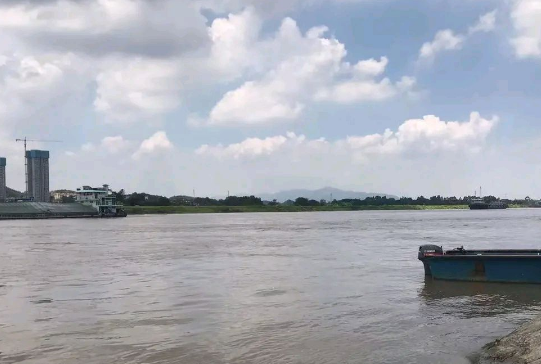 广东佛山：男子遛狗却被狗拖入河里，目前已失踪三天，狗狗没事 