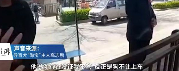 导盲犬被骂哭，但是你知道吗……