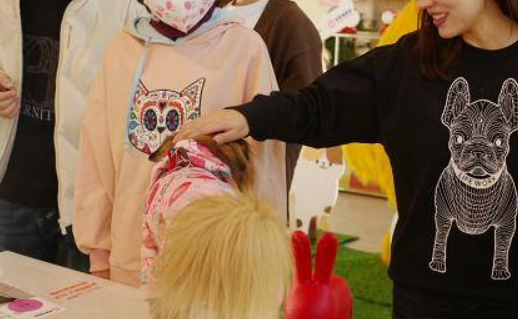 以领养宠物代替购买，自如公益活动引人关注