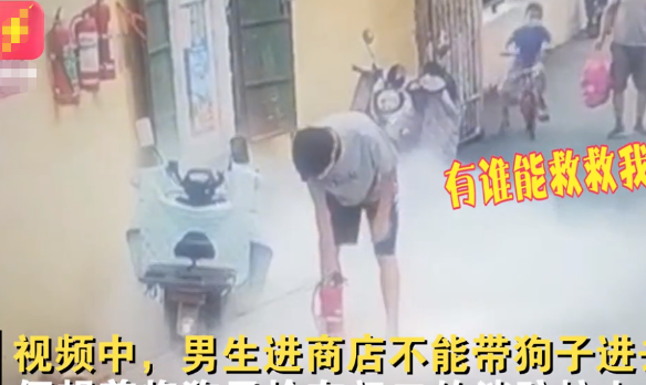 河南一男子把狗拴灭火器上，不料灭火器砸地上，狗子和路人都懵了