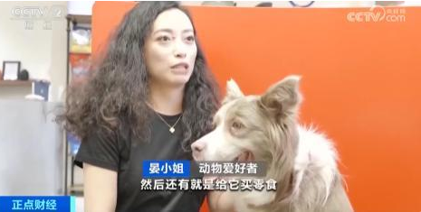 宠物市场迎来高速增长期，一年新增近100万家相关企业