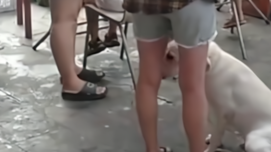 女子遛狗不管狗，吓到小孩还大言不惭：你管得着吗