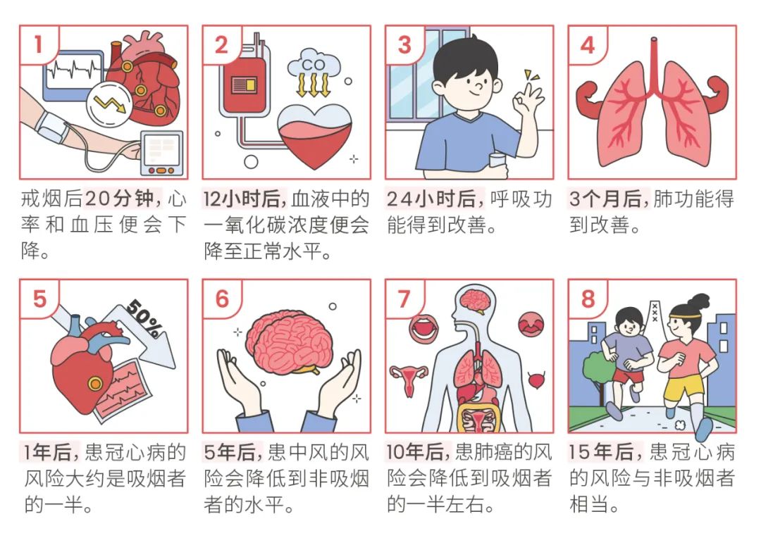 从青春开始的“健康倒计时”？早戒烟，早获益！| 科普时间