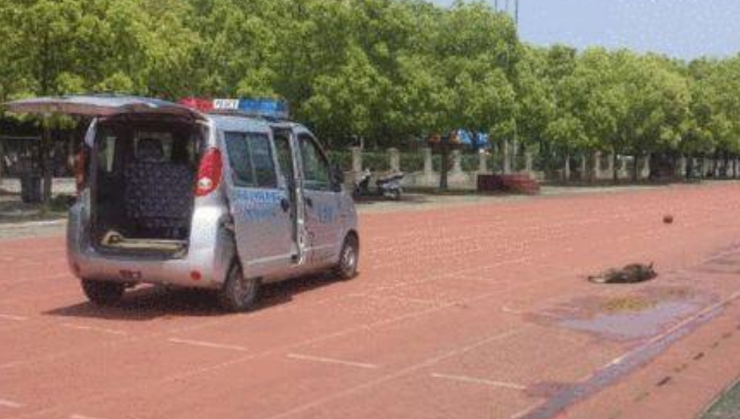 湖北一高校被曝巡逻车碾压流浪狗，校方致歉：驱赶方式欠妥