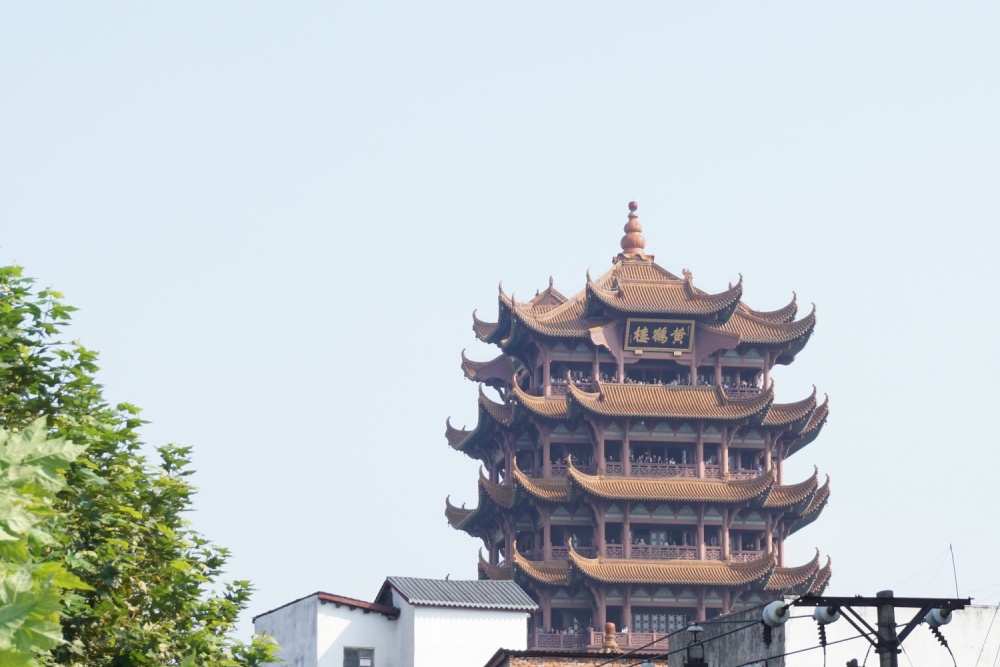 装修墙面现在人们都不使用乳胶漆了，现在流行这种，实用又实惠！