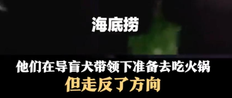 导盲犬带主人吃火锅，5人1狗全迷路