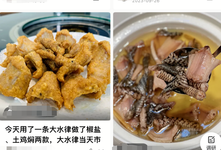 广州辟谣蛇可食用之后：知名餐厅收手，暗访发现有食肆仍卖蛇