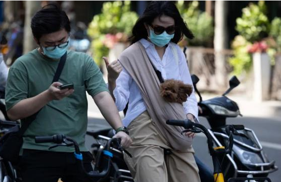 宠物经济：千亿级消费市场正在兴起