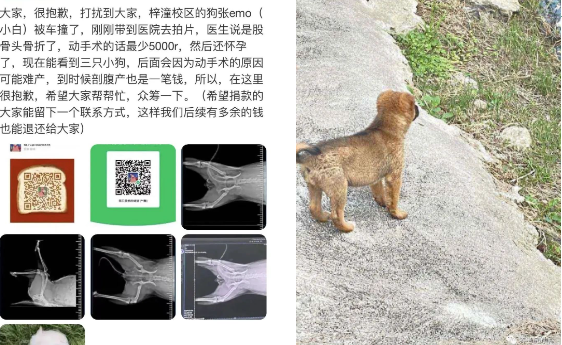 拯救