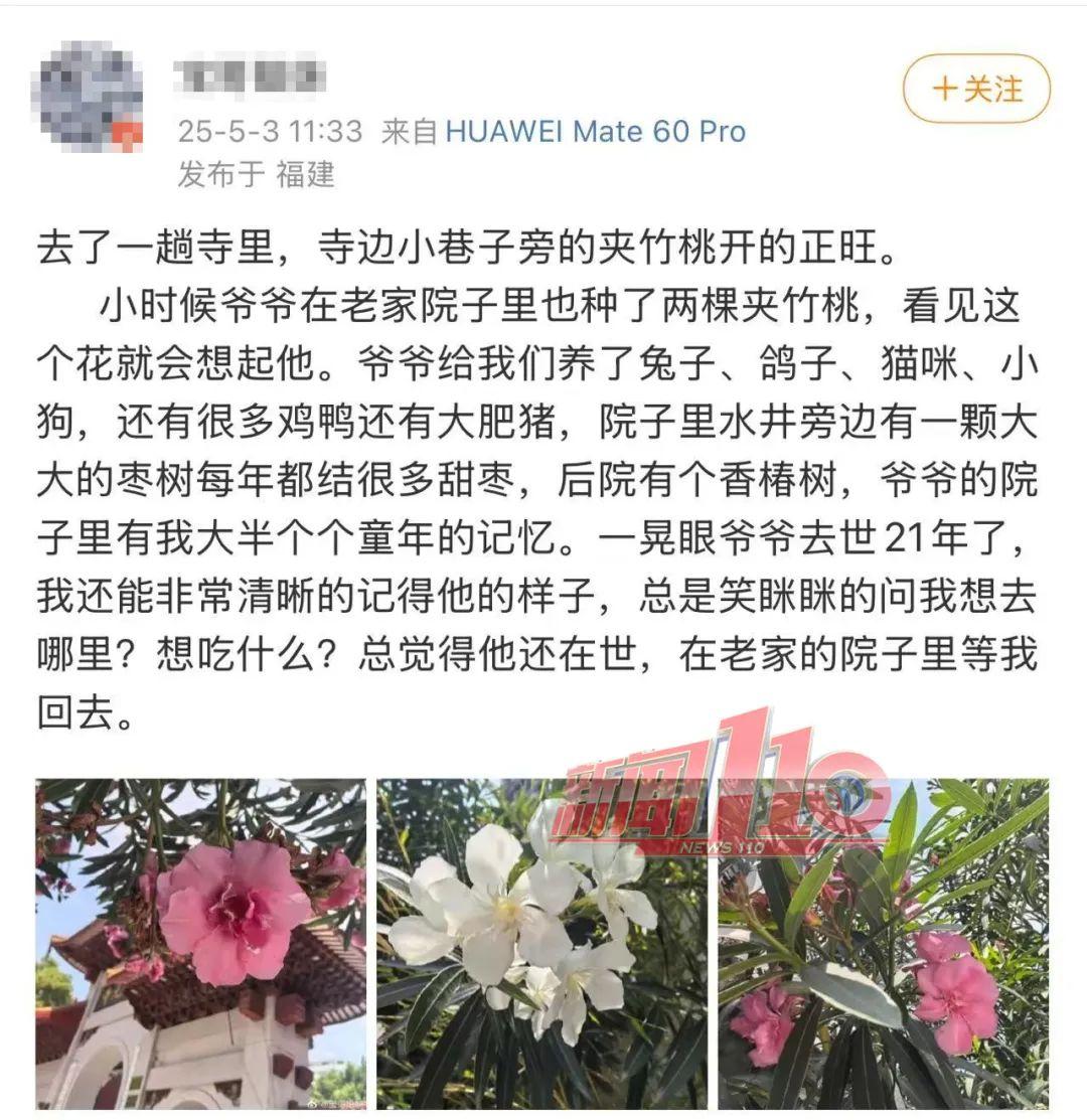 直冲34℃！福州常见的这种花又开了！别碰