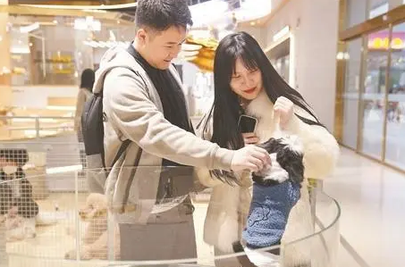 萌宠受宠 强劲“吸金”——业态升级市场扩容，“它经济”长沙升温