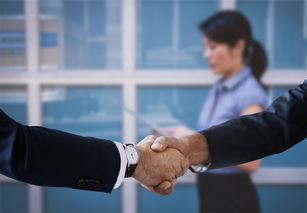 王楚钦拿下比赛怒吼，青春的力量与激情的释放