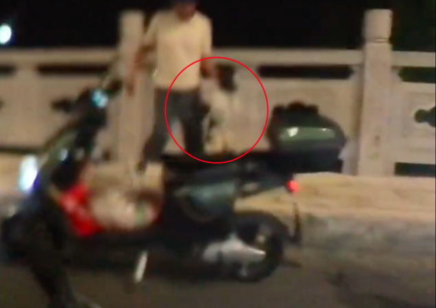 女生遇狗贩子抓流浪狗，鼓足勇气骑车去拦截！结果舒适却有遗憾！