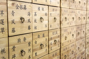 揭秘三溪堂，中医门诊的瑰宝——探寻传统医学的魅力